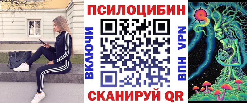 Псилоцибиновые грибы мицелий Бутурлиновка